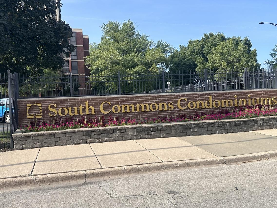 3021 S Michigan Ave. #311, Chicago, IL 60616
