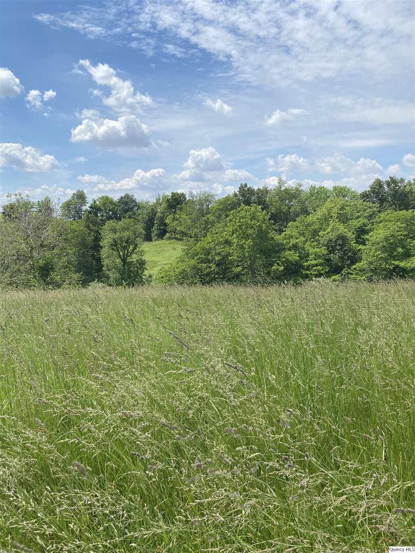 1250 E County Rd., Mt. Sterling, IL 62353