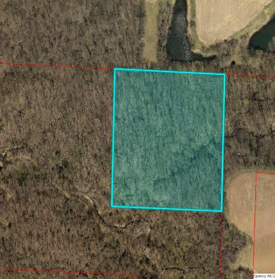 NE SEC12 1N9W E 8a N 1/2 Nw Sec 12, Ursa, IL 62376