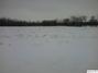 Section 13 Keene Tow, Loraine, IL 62349