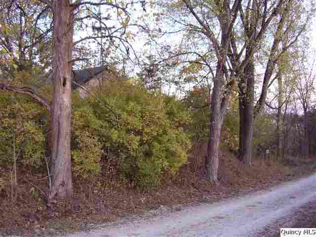 48 E 1800th St., Plainville, IL 62365