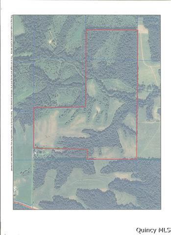 Sw Sec 34 Mcgee Twp, Liberty, IL 62347