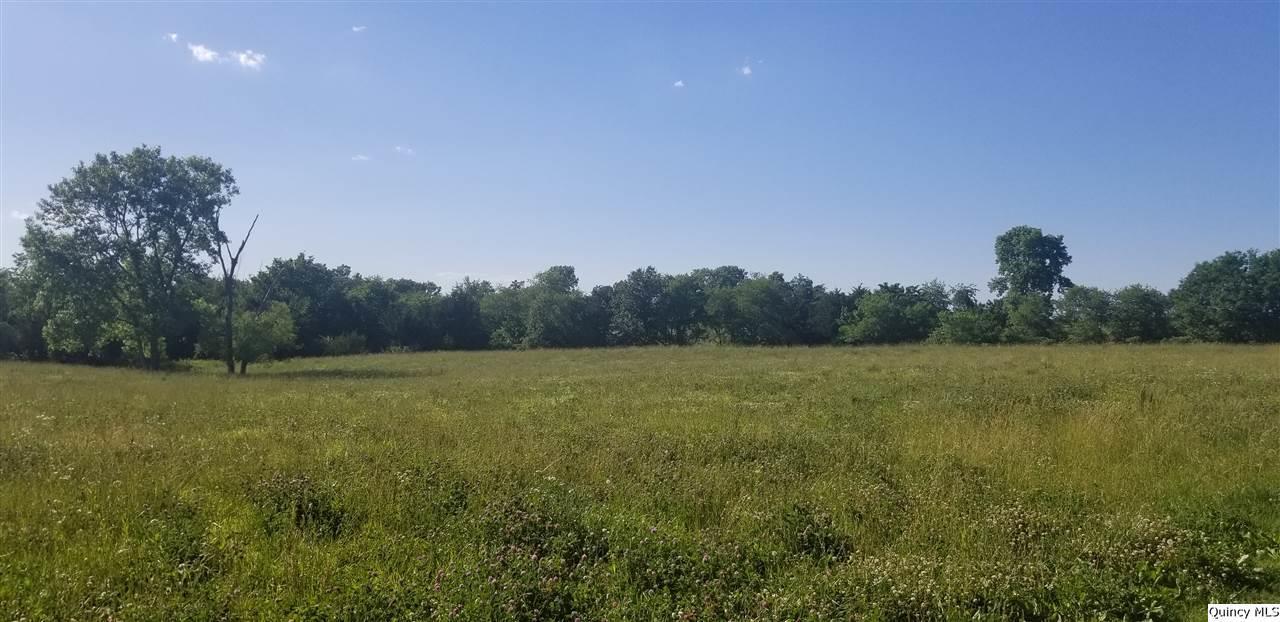 SW Sec 03 25 Ac +/-, Loraine, IL 62349