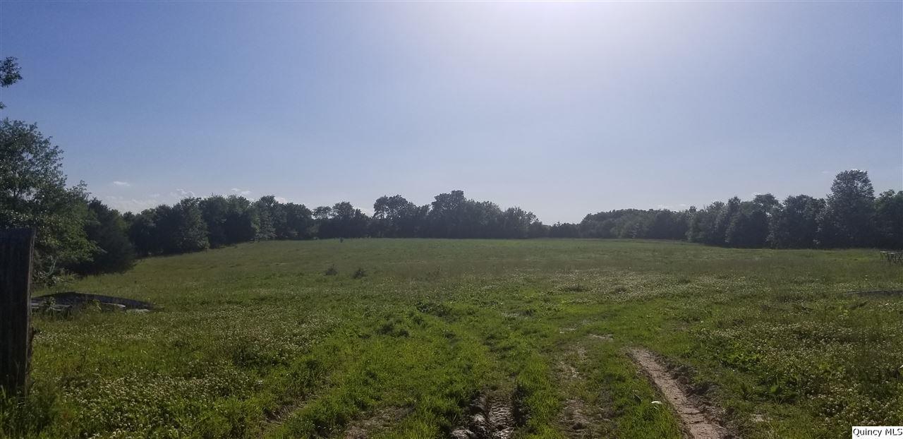 SW Sec 03 77.55 Ac +/-, Loraine, IL 62349