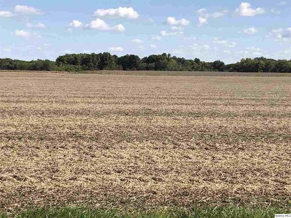 2300 N County Road 2650, La Harpe, IL 61450
