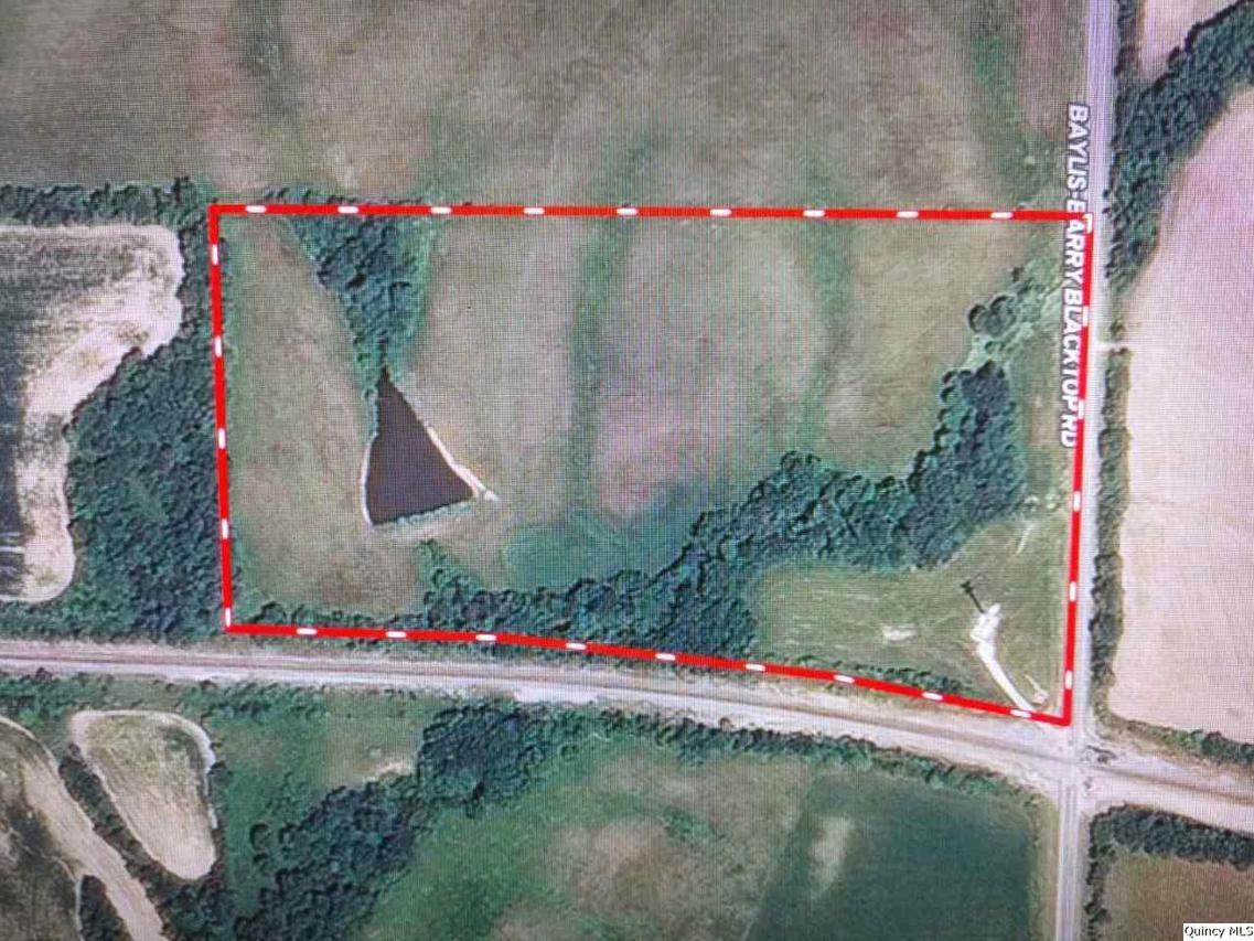 20.97 acres Hadley Twp., Baylis, IL 62314