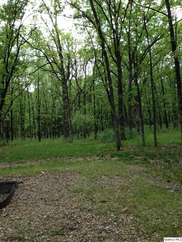 Tract #5 Sw Section 24 Ellington Twp, Quincy, IL 62305
