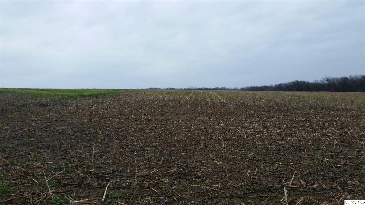 SW Sec 27 Liberty Twp, Liberty, IL 62347