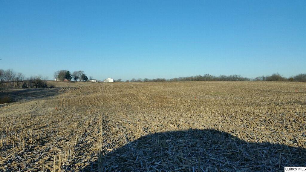 SW 1/4 Sec 27 Liberty Twp, Liberty, IL 62347