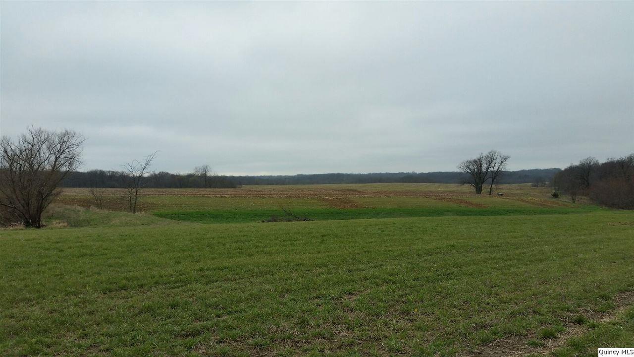 Section 27 Beverly Twp, Liberty, IL 62347