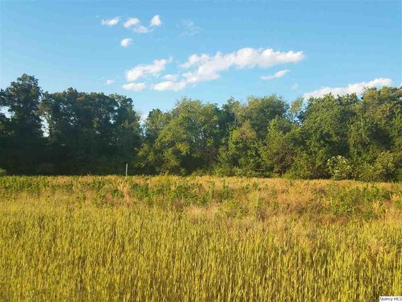 1133 N 1965th Ave-lot 5, Mendon, IL 62351