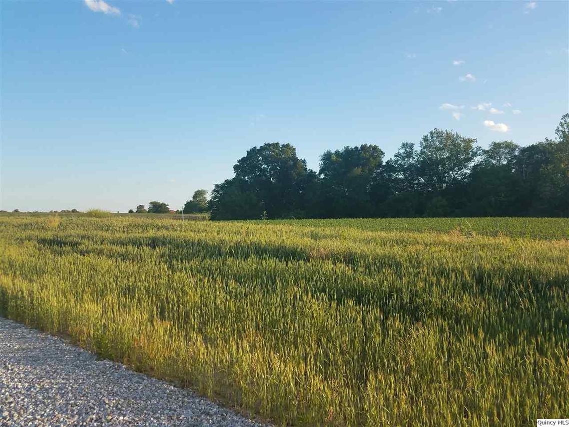 1150 N 1965th Ave-lot 9, Mendon, IL 62351