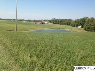 Lot 1 Oak Creek Acre, Ursa, IL 62376