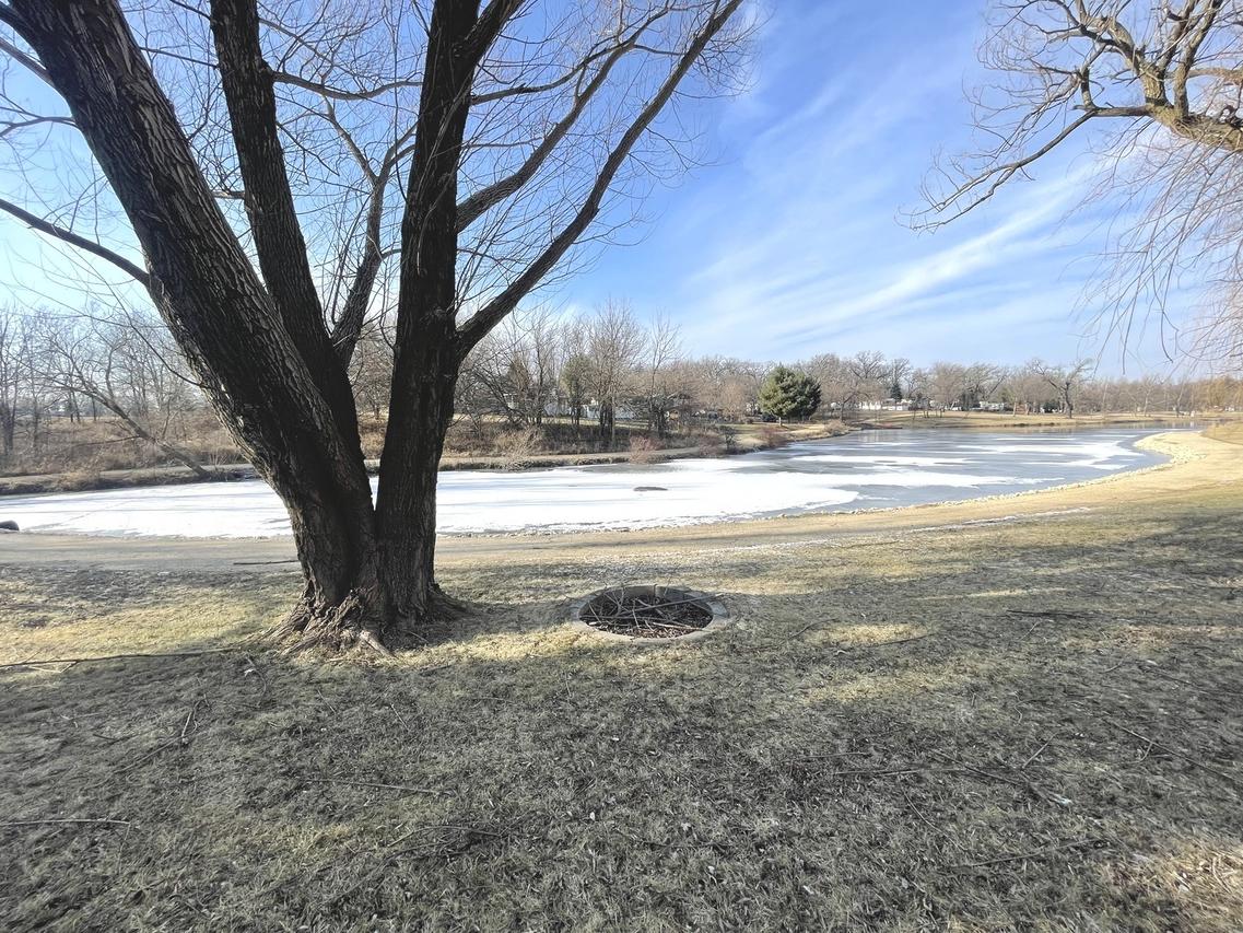 23-42 Woodhaven Lakes, Sublette, IL 61367