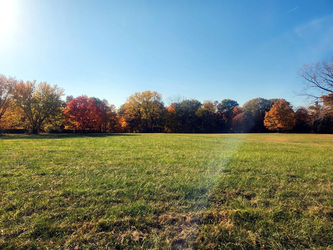 Lot 783 Lake Wildwood Dr., Varna, IL 61375