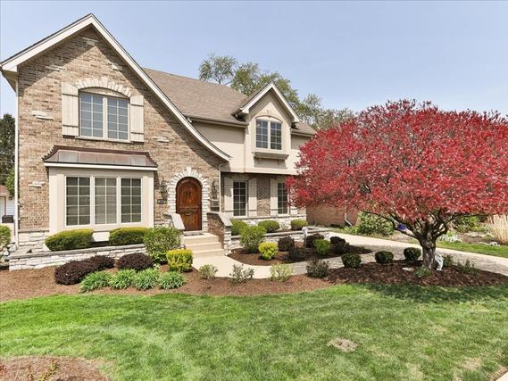 52 Rosemont Ave., Roselle, IL 60172