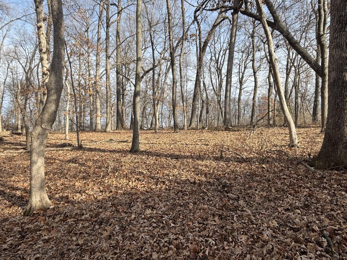 1096/97 Lake Wildwood Dr., Varna, IL 61375