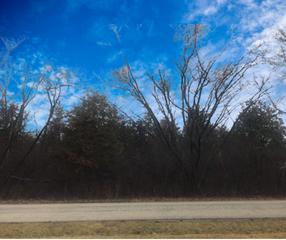 Lot 16 Harding Ave., Richmond, IL 60071