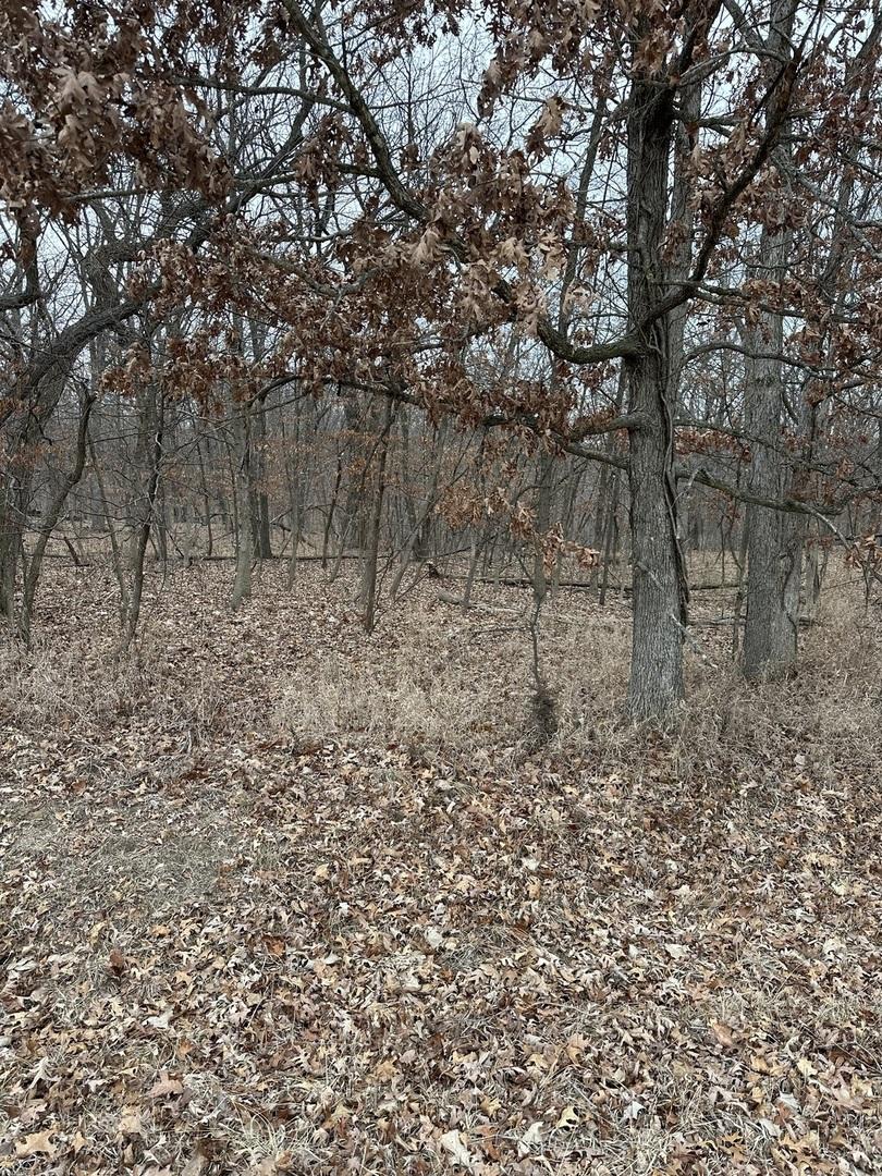 Lot 24 S Eagle Chase Dr., Seneca, IL 61360