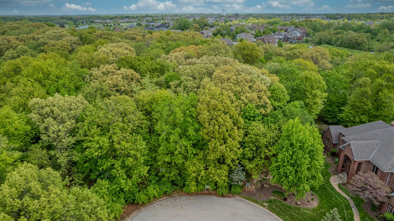 1931 Tessington Ct., New Lenox, IL 60451