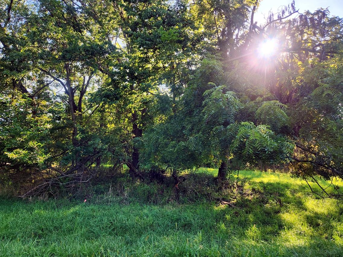 Lot 1481 Westover Dr., Varna, IL 61375