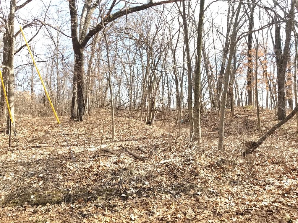 Lot 1750 Sunflower Ct., Varna, IL 61375