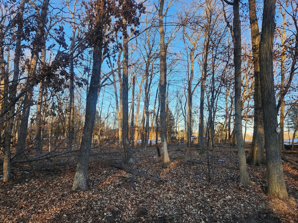 Lot 1101 Jay Ct., Varna, IL 61375