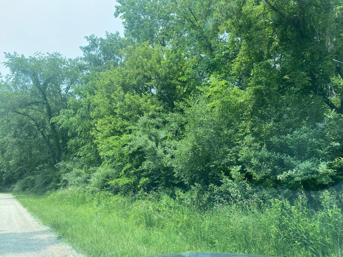 12 Skinner Dr., Putnam, IL 61560