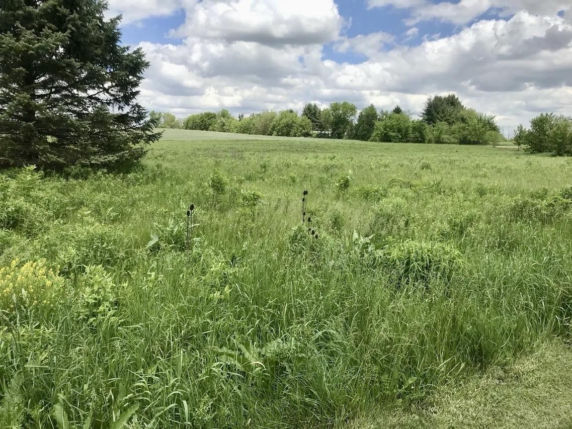 Lot 2 Ratfield Rd., Marengo, IL 60152