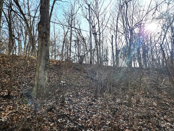 Lot 839 Lake Wildwood Dr., Varna, IL 61375
