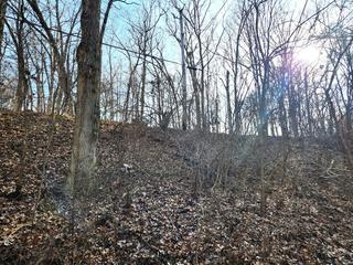 Lot 839 Lake Wildwood Dr., Varna, IL 61375