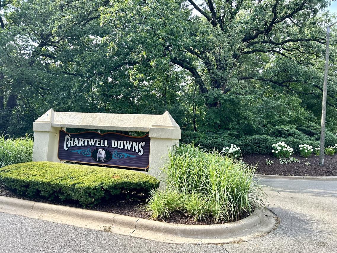 12932 Carrington Ct., New Lenox, IL 60451
