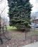 5545 S Wood St., Chicago, IL 60636