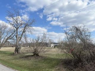 Lot 17 & 1 Harding Ave., Richmond, IL 60071