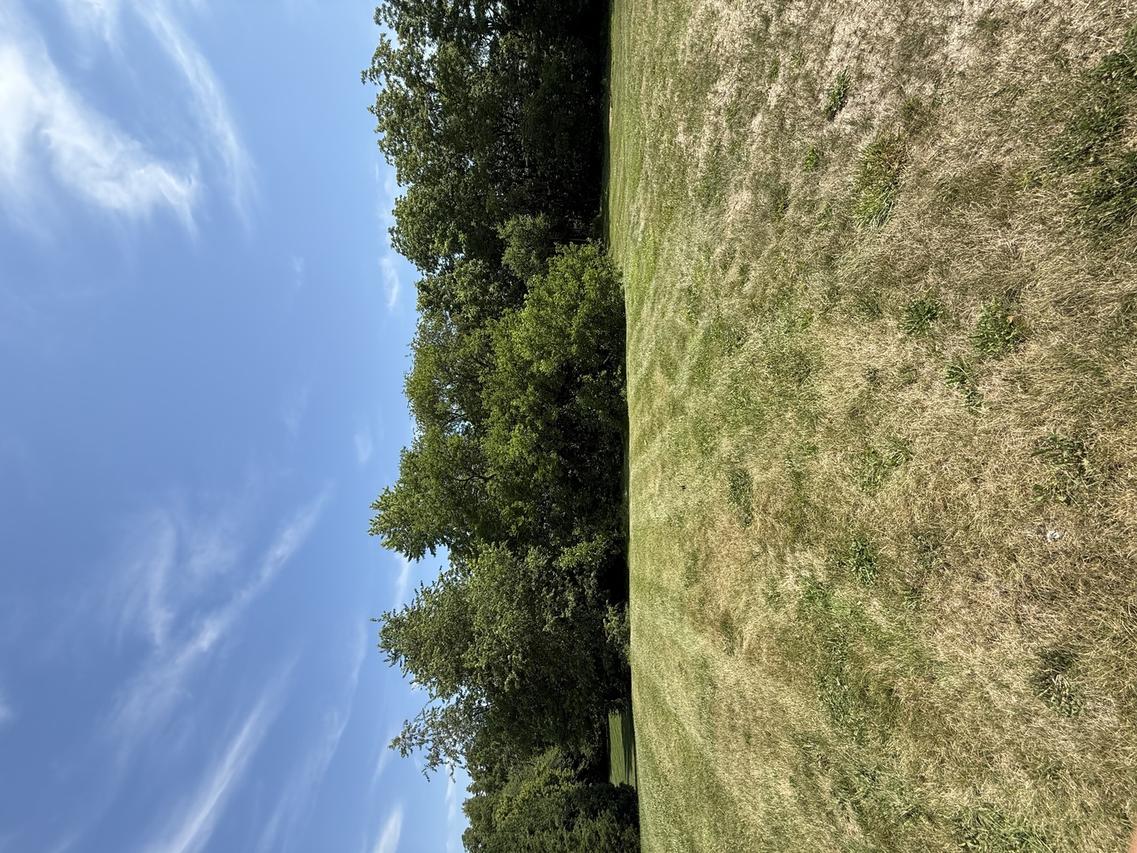 LOT 63 and 78 Cobble Creek Ln., Heyworth, IL 61745