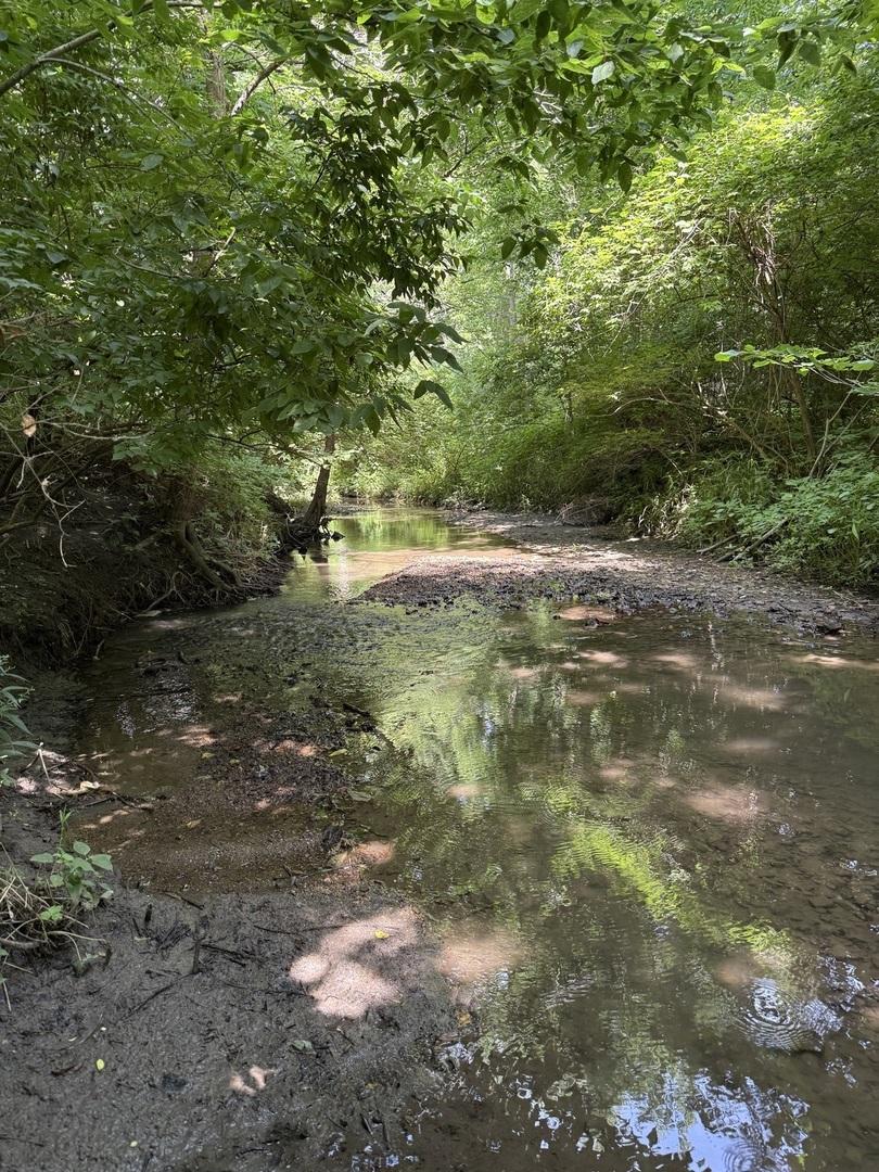 LOT 63 and 78 Cobble Creek Ln., Heyworth, IL 61745