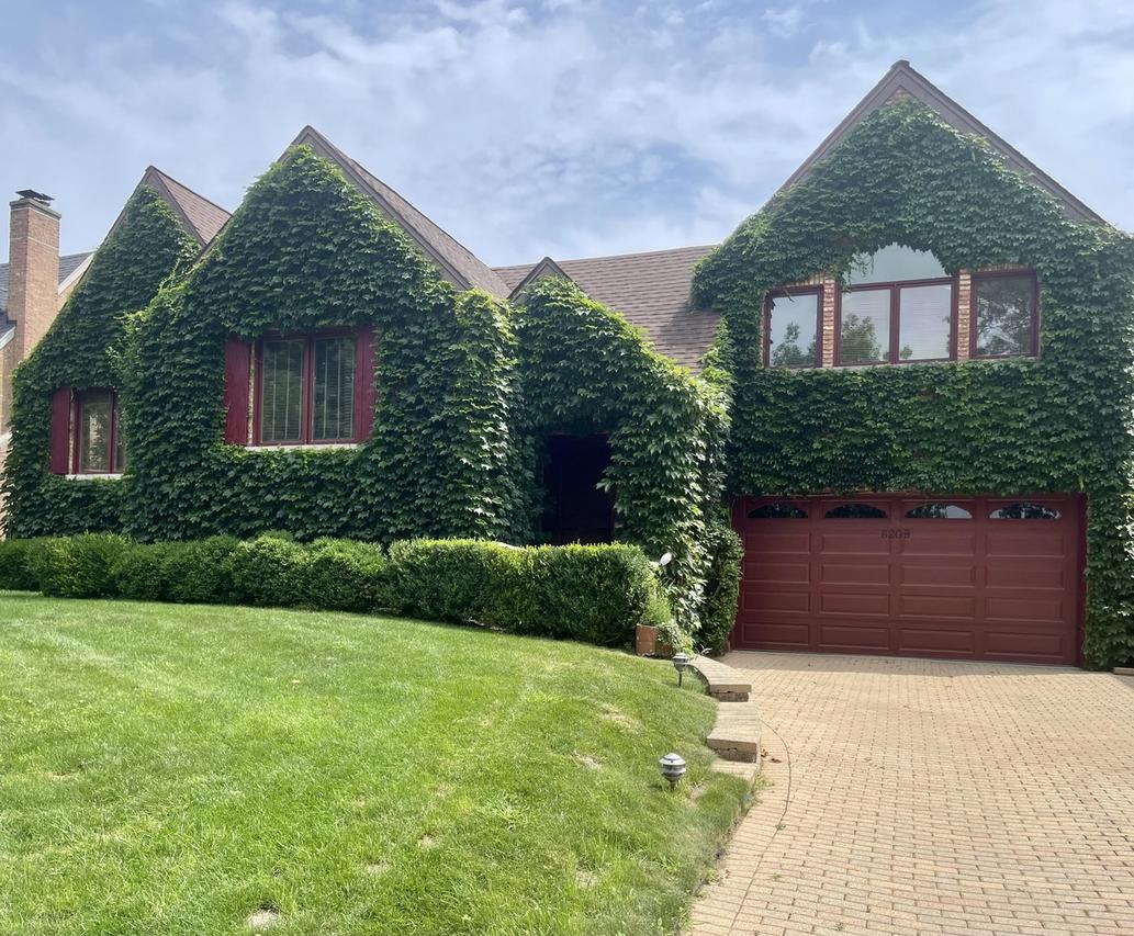 8209 N Oleander Ave., Niles, IL 60714