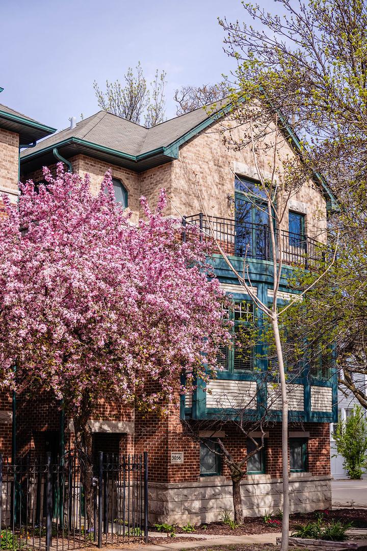 3056 N Paulina St., Chicago, IL 60657