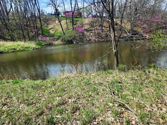 Lot 1668 Lakeside Ct., Varna, IL 61375