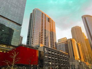 240 E Illinois St. #2206, Chicago, IL 60611