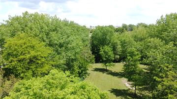 Lot 1 Lincoln St., El Paso, IL 61738