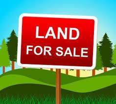 Lot 392 Lake Thunderbird Ws 2 Dr., Putnam, IL 61560