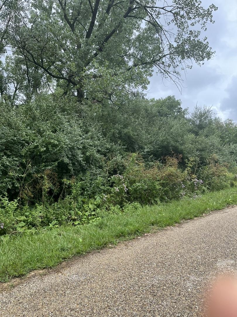 Lot 392 Lake Thunderbird Ws 2 Dr., Putnam, IL 61560
