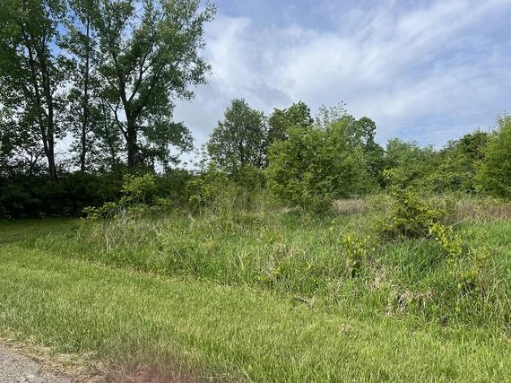 9N542 Bowes Bend Dr., Elgin, IL 60124