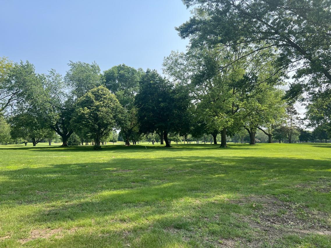 Lot 9 Elks River Estates, Aroma Park, IL 60910