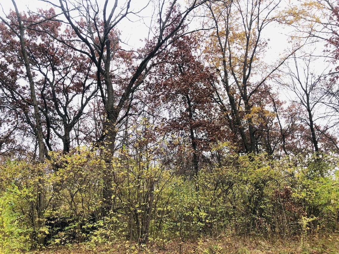 704 Echo (lot 21) Tr., Marengo, IL 60152