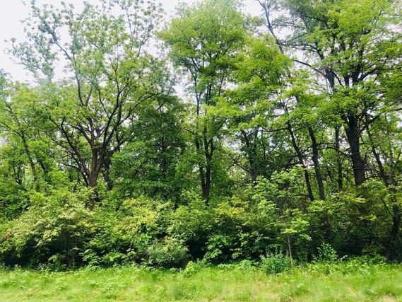 704 Echo (lot 21) Tr., Marengo, IL 60152
