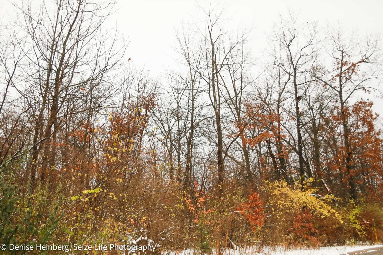 806 Echo (lot 22) Tr., Marengo, IL 60152