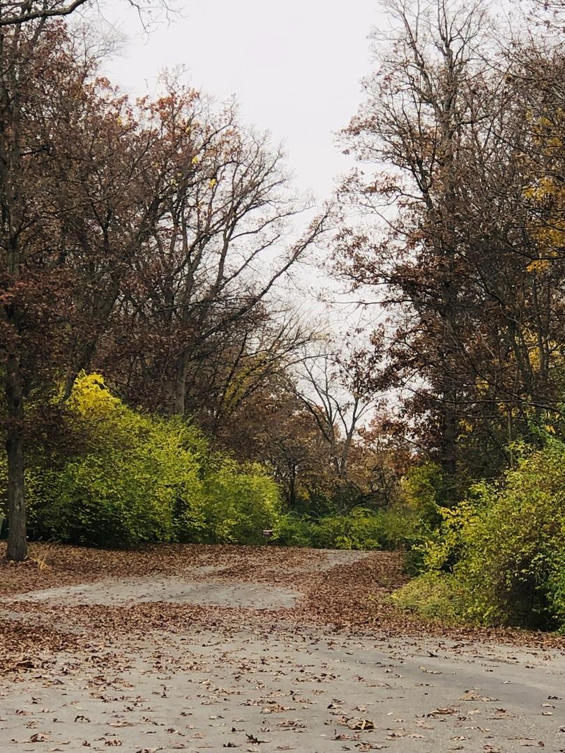 910 Echo (lot 6) Tr., Marengo, IL 60152