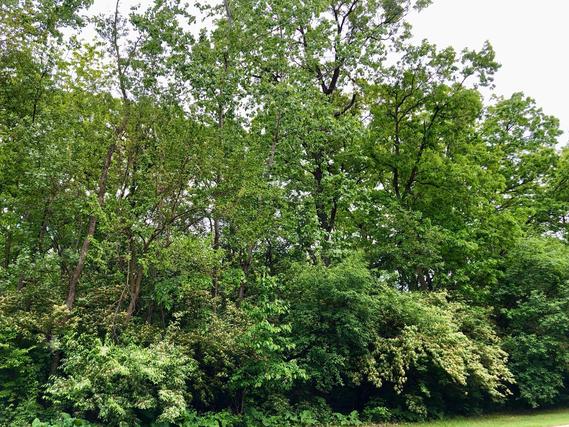 910 Echo (lot 6) Tr., Marengo, IL 60152